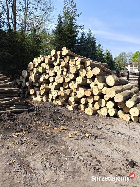 Drewno w wałkach S2A 250 Sosna Brzoza Dąb i Buk Bolesław