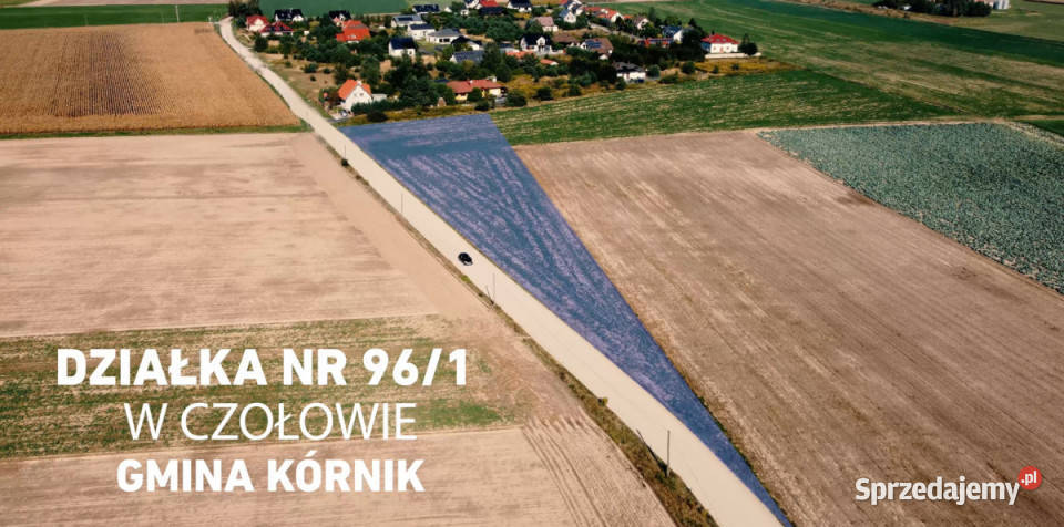 sprzedaży działki 2980m Czołowo sprzedam