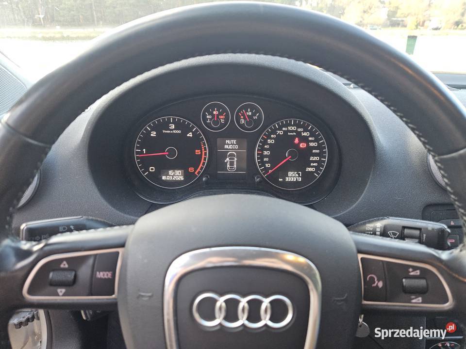 Audi A3 8P Sportback 19 TDI 4/5 Nowosielec