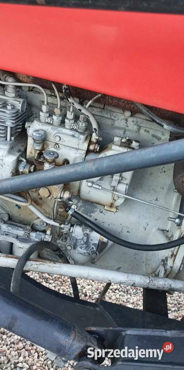 Sprzedam Zamienię na mini traktor C355 warmińsko-mazurskie Pisz