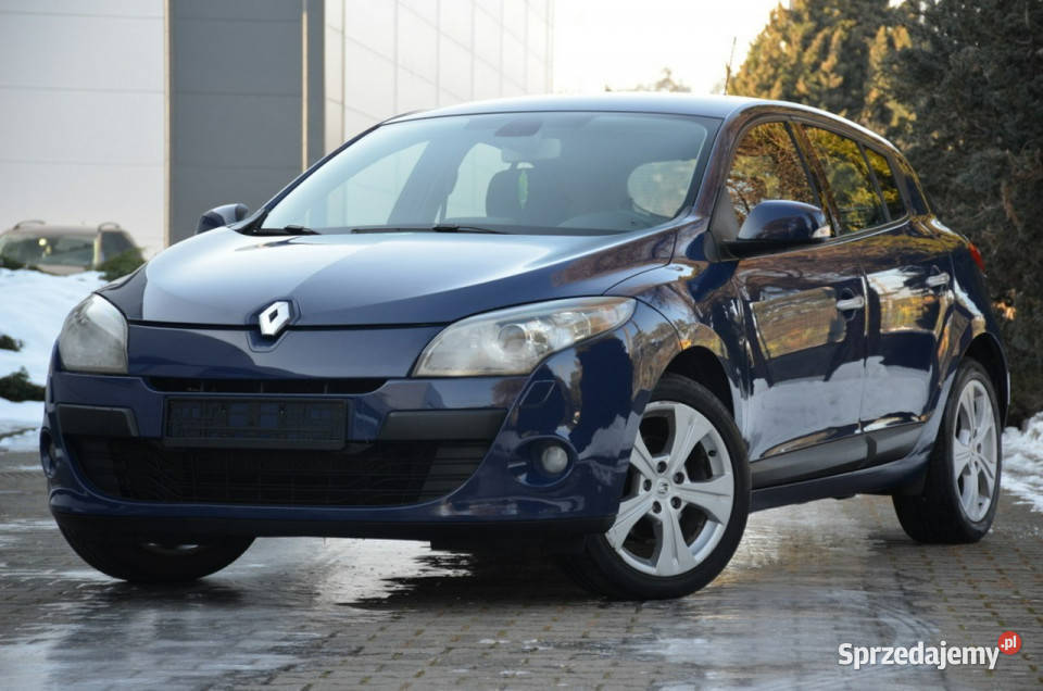 Renault Megane 16i 16V 110 Serwisowany