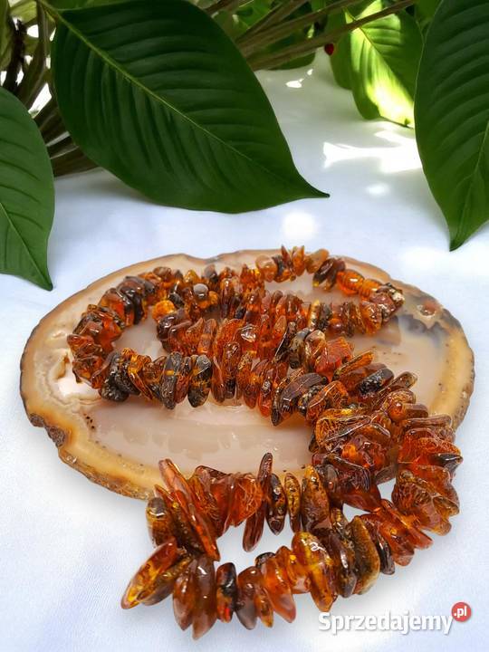 Korale z bursztynu BURSZTYN bałtycki polerowany mazowieckie Warszawa