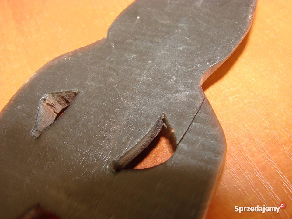 Jaszczurka inkrustowana teakowa Pruszcz Gdański sprzedam