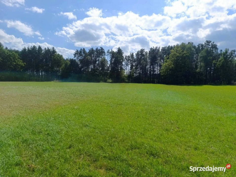 Siedlisko 357 ha z zabudowaniami i własnym lasem Siedlików