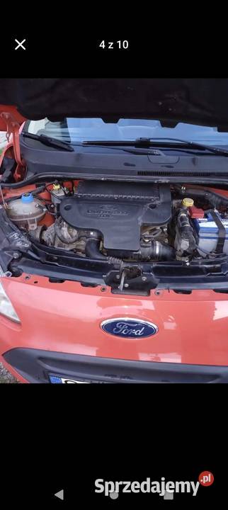 Ford Ka 12 TDI Łubno