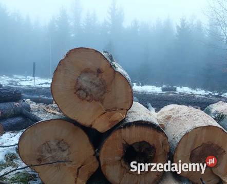 Drewno opałowe mieszane 1m3 170 z transportem do Nowe Żukowice