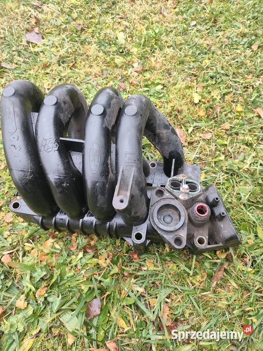 Kolektor ssący Ford Focus MK1 Werbkowice sprzedam