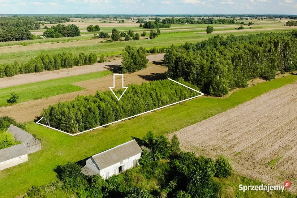 Działka budowlana 1700m Dębe Kosów Lacki mazowieckie