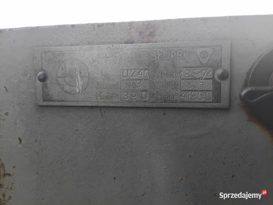 Talerzówka 18 Biadacz