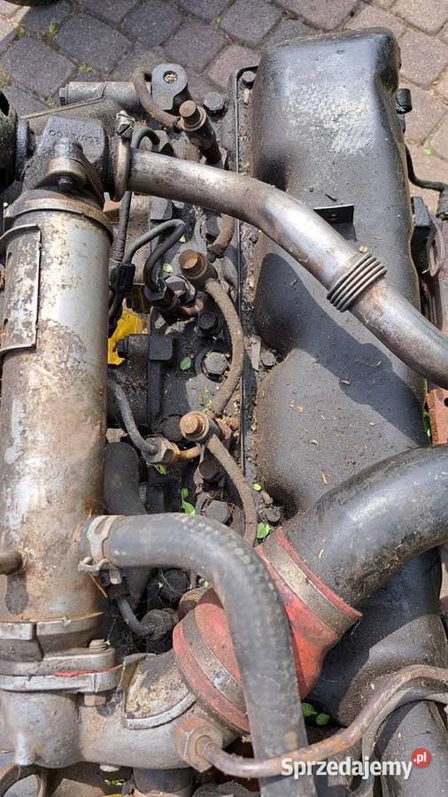 Kompletny silnik do Forda Tranzita turbo Bielawa