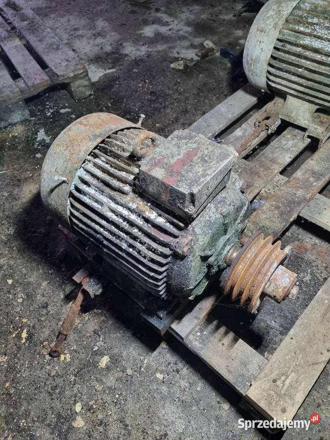 Silnik elektryczny indukta dwubiegowy 44kw 67kw Produkcja kujawsko-pomorskie Brodnica