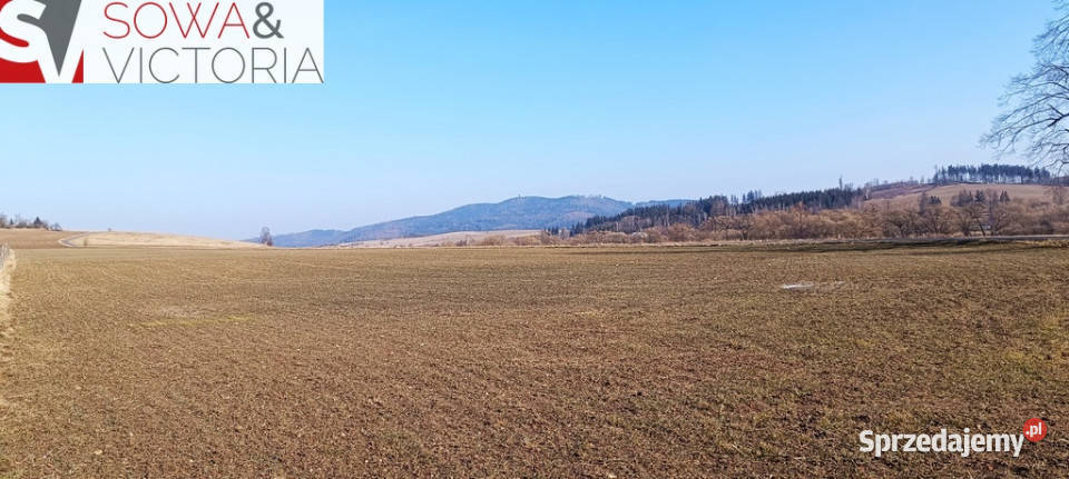 Słoneczna działka budowlana w Borównie dolnośląskie Borówno