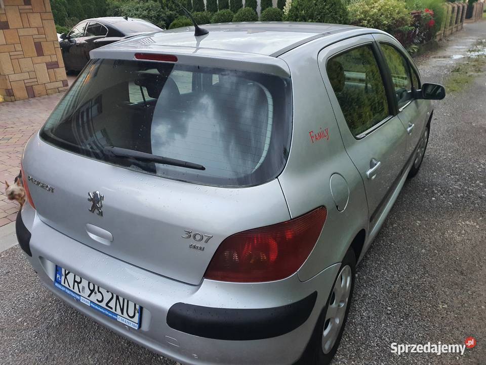 PEUGEOT 307 20 HDI 90 Łęg Tarnowski