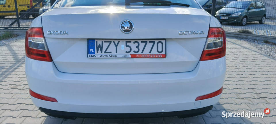 koda Octavia Bogate wyposaż 70tkm 4cylindry III Stare Budy