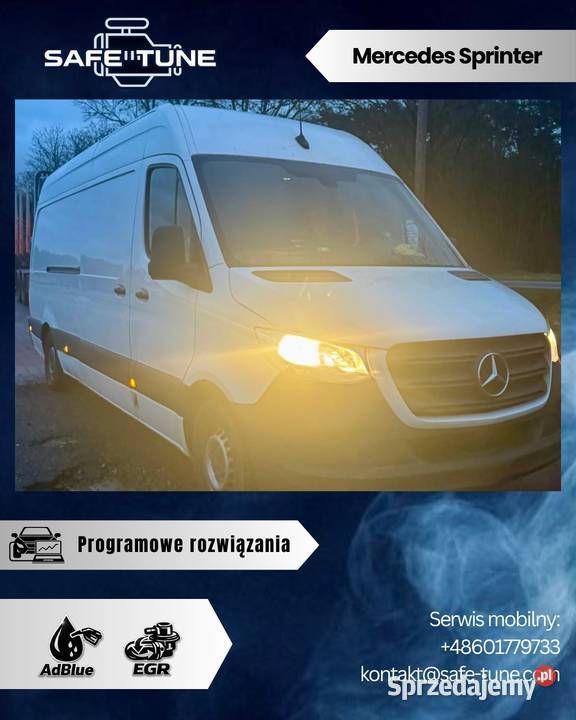 Programowe Usuwanie Wyłączanie SCRADBLUE DPF EGR Kraków