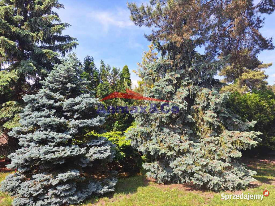 dom z ogrodem 800m2 mazowieckie Warszawa