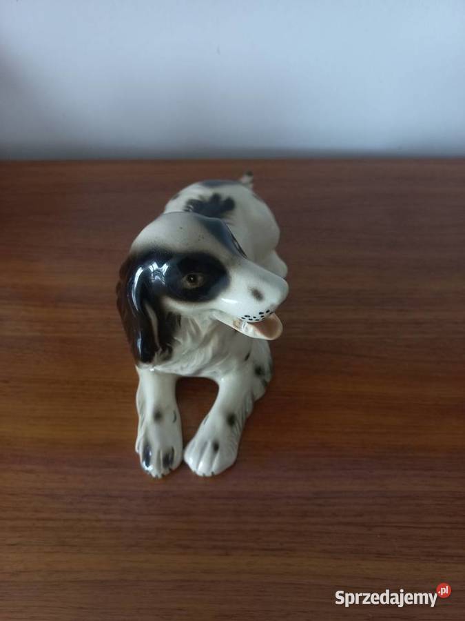 Figurka ceramiczna pies Spaniel kujawsko-pomorskie Toruń