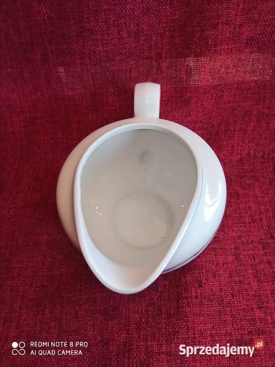 Mlecznik Camilla śliwka jako dekor na białej Gdańsk