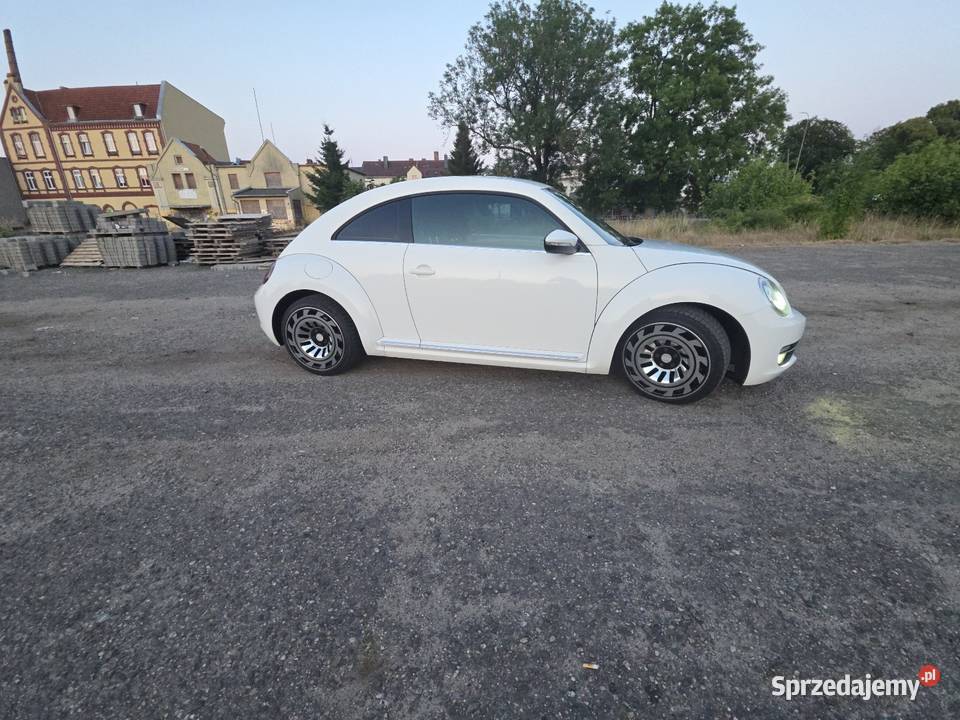 Beetle gniazdo AUX Gryfice