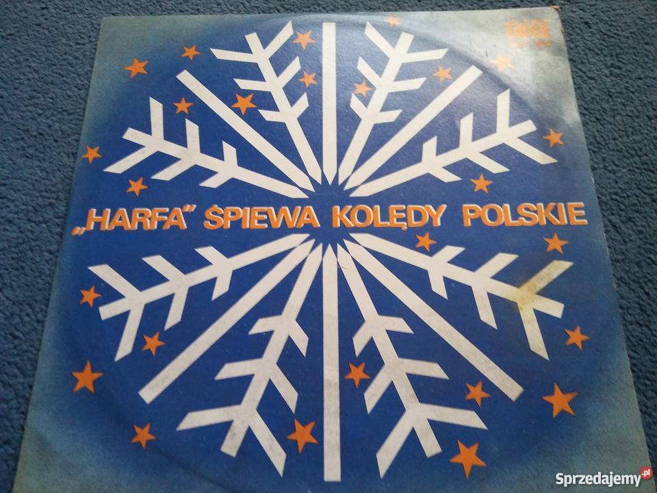 płyty winylowe kolekcje Poznań