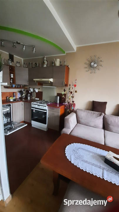 Mieszkanie 56m2 3 pokoje Rybnik Wynajem