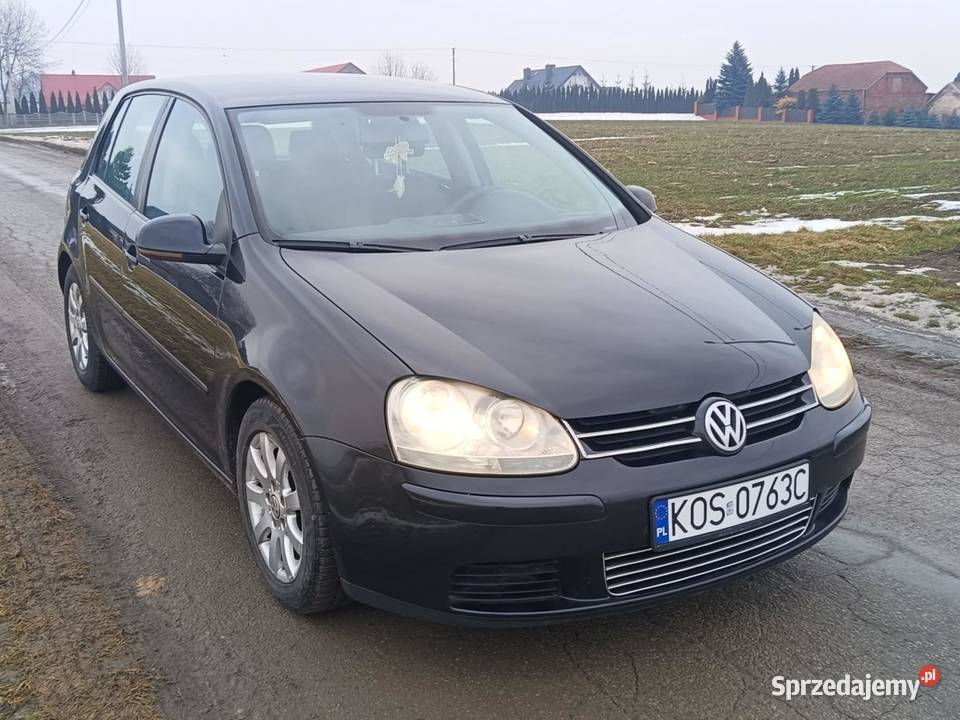 Volkswagen Golf V 19 tdi