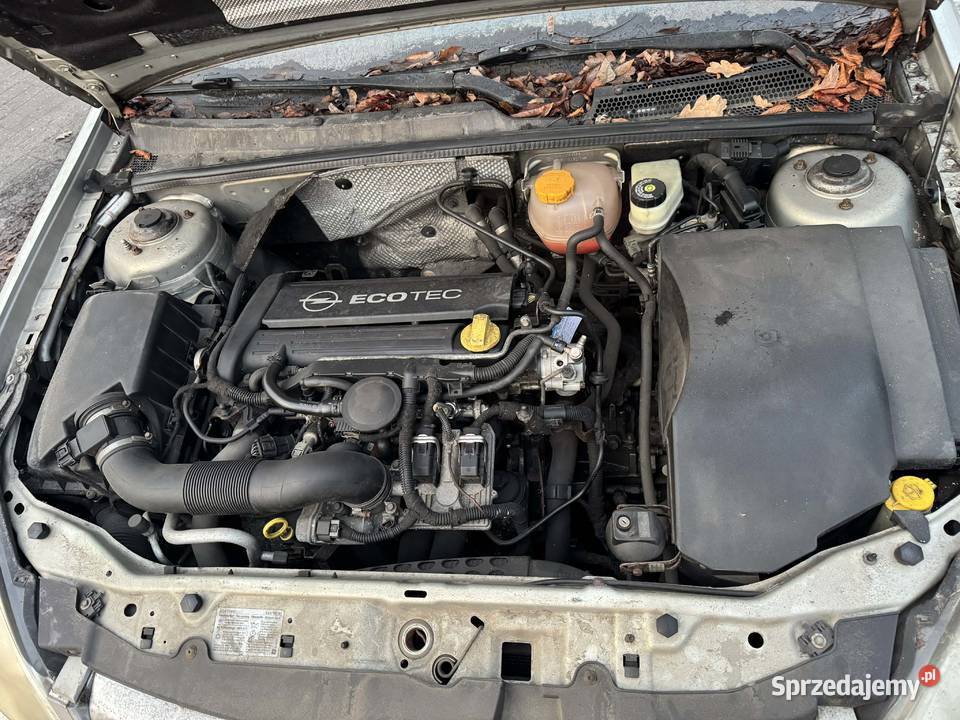 Opel Vectra C 22 Direct 2006 benzyna Brzeszcze