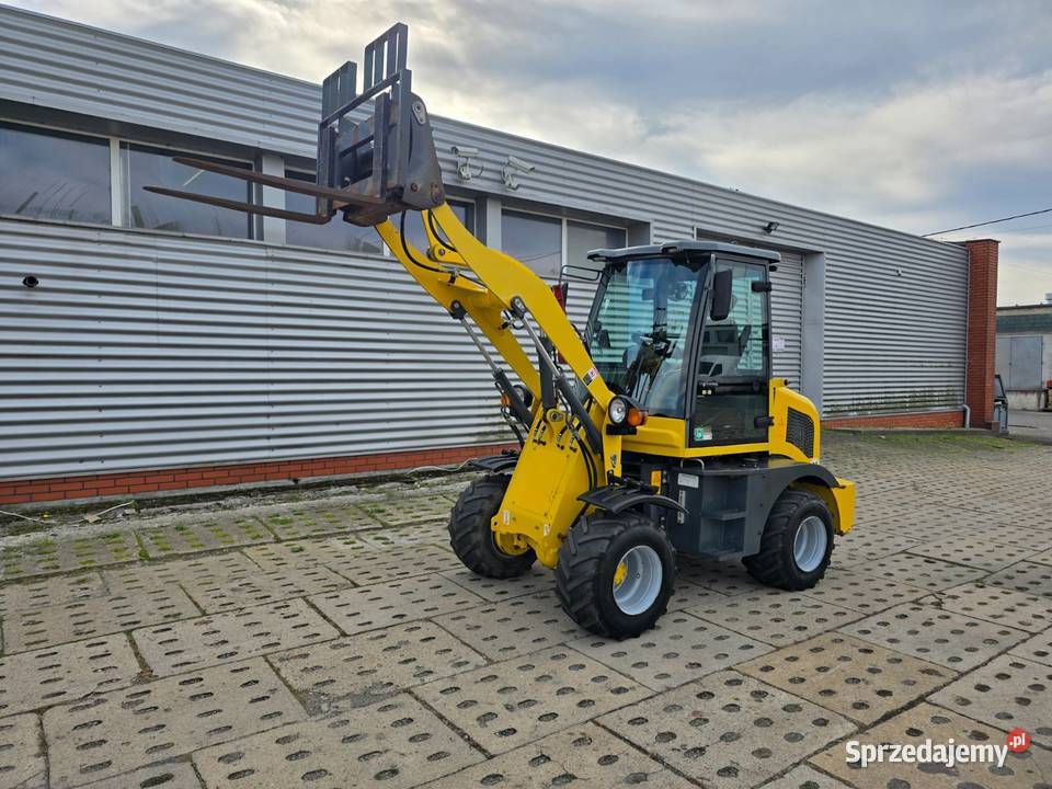 ŁADOWARKA KOŁOWA HYTEC ZL10 2019R 611 MOTOGODZIN nie Kórnik