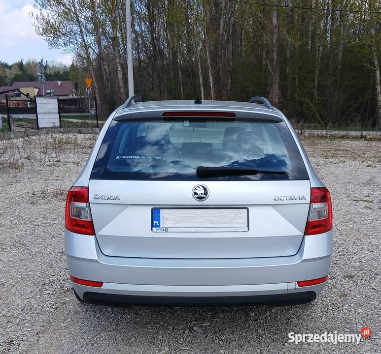 Skoda Octavia 2019 Polski Salon Busko-Zdrój