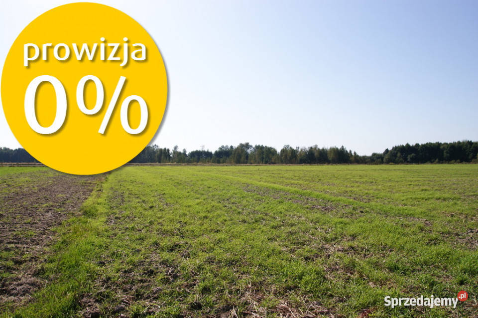 Duża działka jeziorem Krasne pod inwestycję sprzedam