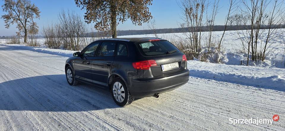 Świeżo sprowadzone zarejestrowane opłacone Świerszczów sprzedam