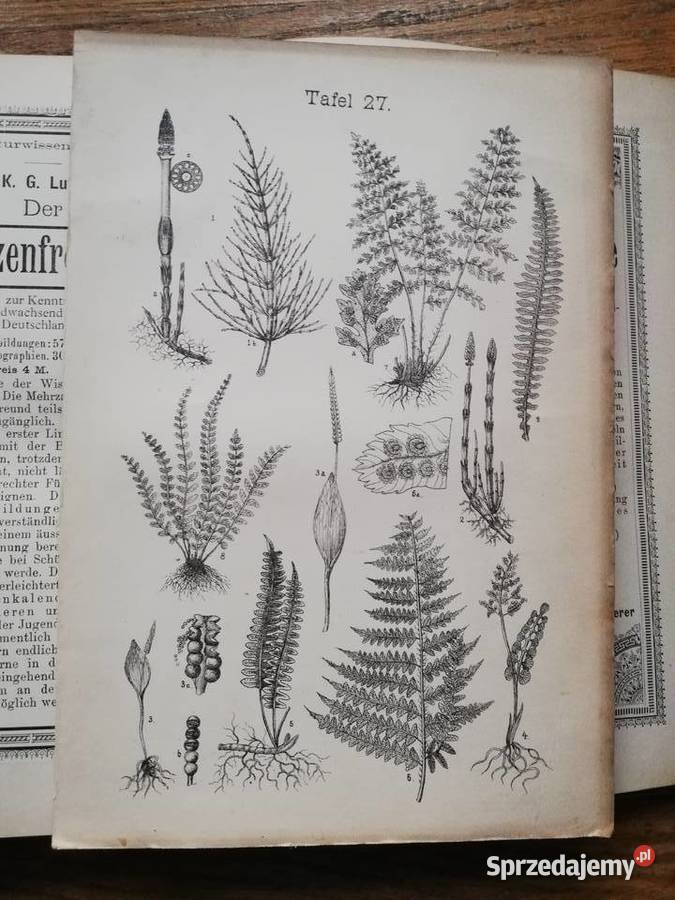 Der Pflanzenfreund Książki naukowe i popularnonaukowe Kraków