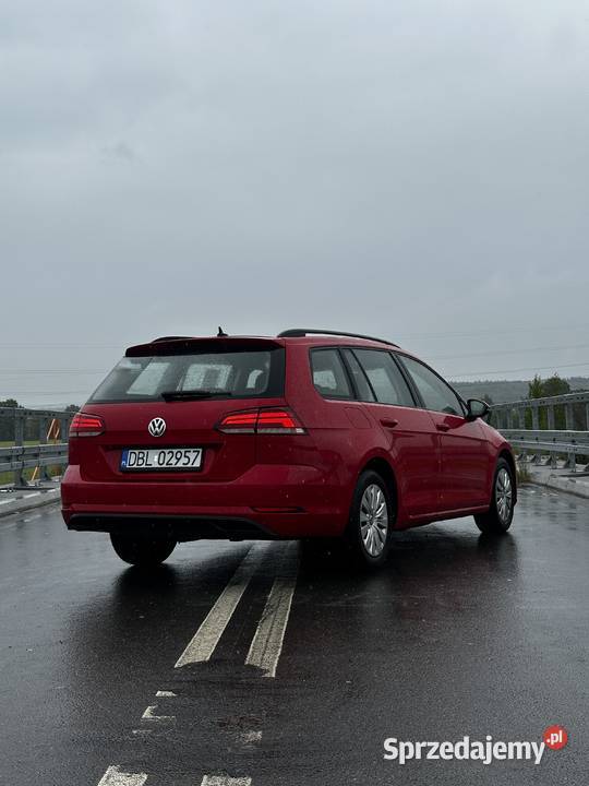 Volkswagen Golf 7 kombi 16TDI 2017 nieuszkodzony Bolesławiec