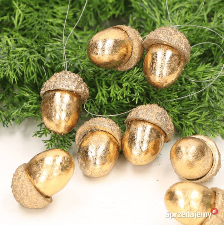 Złote Żołędzie zawieszki 8 Skierniewice