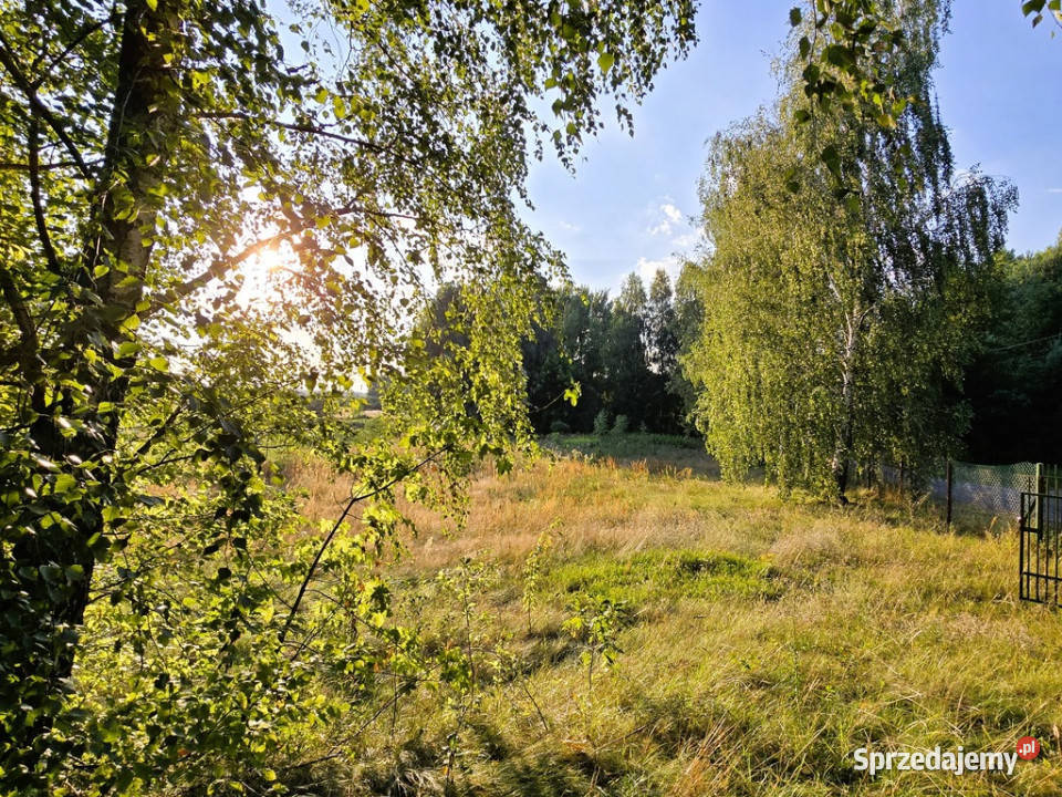 Działka budowlana Szczekarków Grunty i działki lubelskie