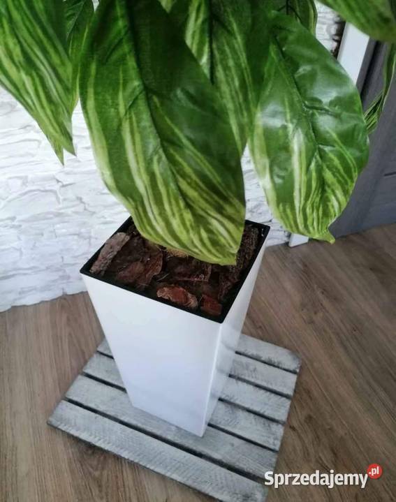Kwiat sztuczny dekoracja figus figowiec sztuczny Częstochowa sprzedam