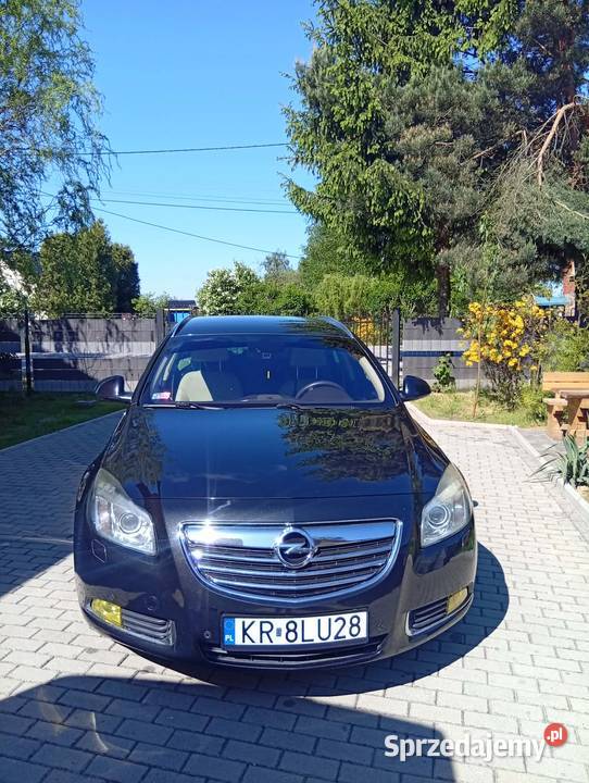 Opel Insignia Gdów