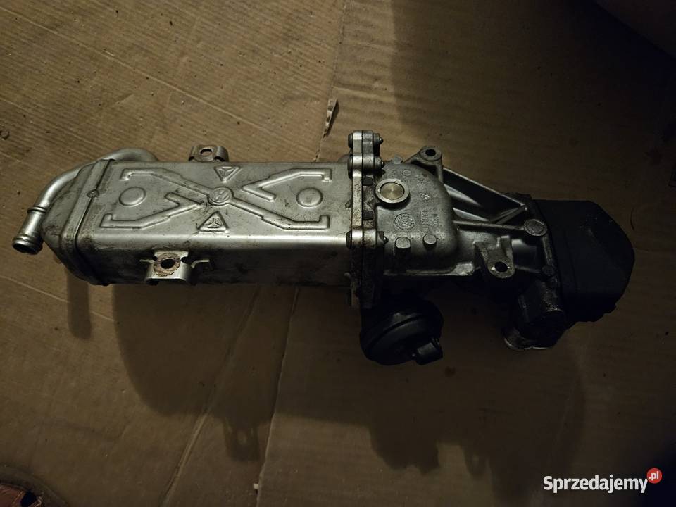 Egr vw golf 6 16 tdi wahler Ciechocinek sprzedam