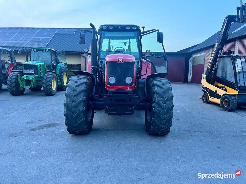 Massey Ferguson 6480 Żabno