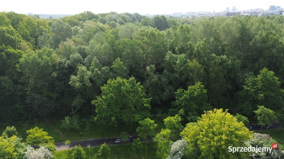 Na sprzedaż działka budowlana na Sołaczu Poznań