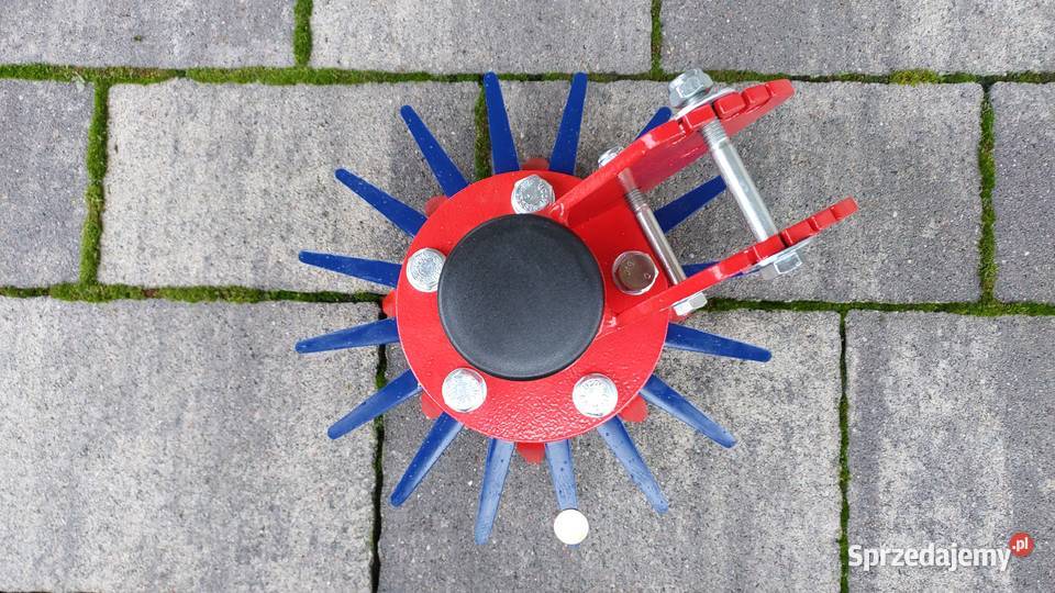 22 gwiazda gwiazdy słoneczko pielące pieląca