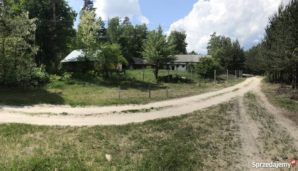 Siedlisko ma roztoczu ogródek lubelskie Czarny Las-Kolonia