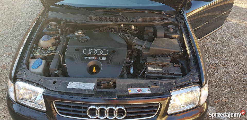 Audi A3 19 TDI 110 Serwis Audi do końca Jelenia Góra