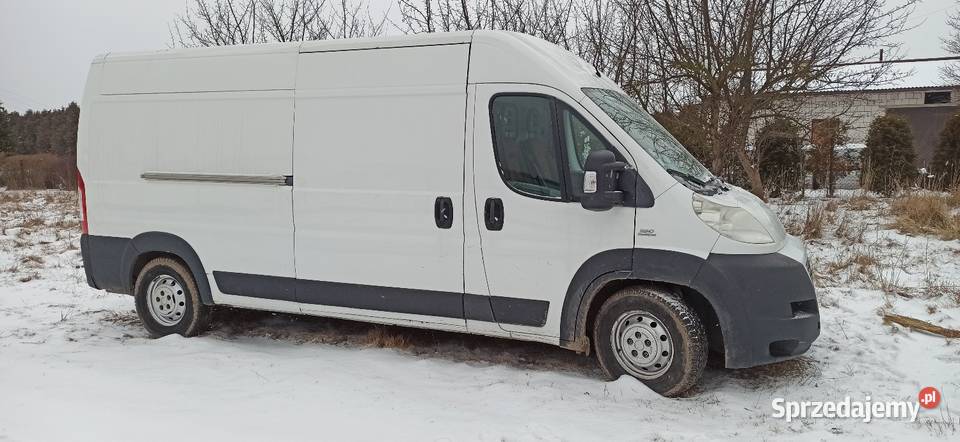 Fiat Ducato Drzewica