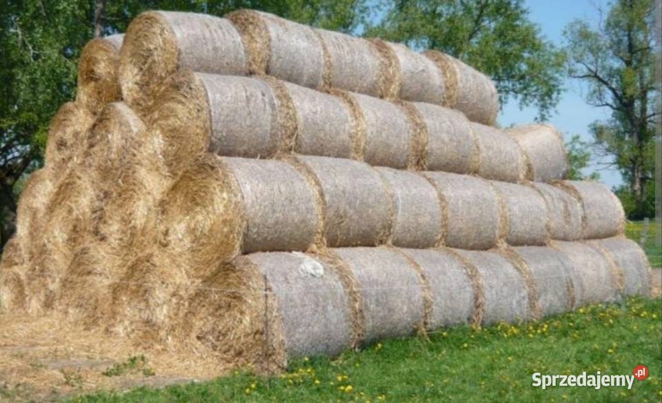 Sprzedam słomę belkę Rolnictwo Nowodwór-Piaski