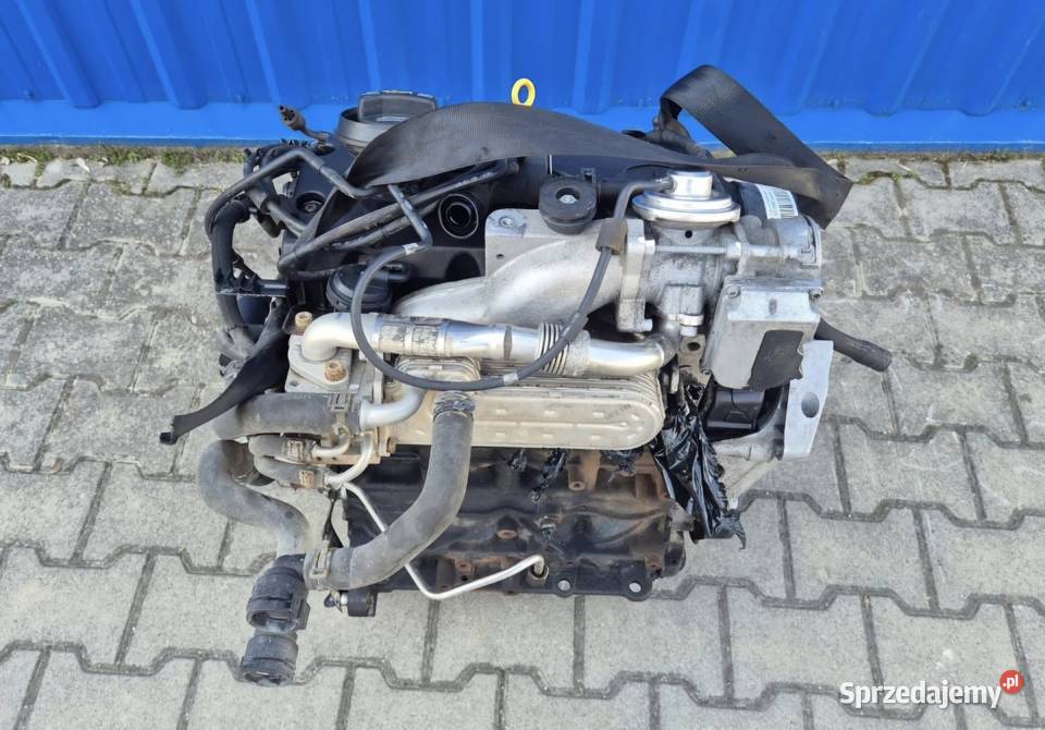 SILNIK 19 TDI BKC BXE 105 GOLF V ALTEA LEON II Działoszyce sprzedam