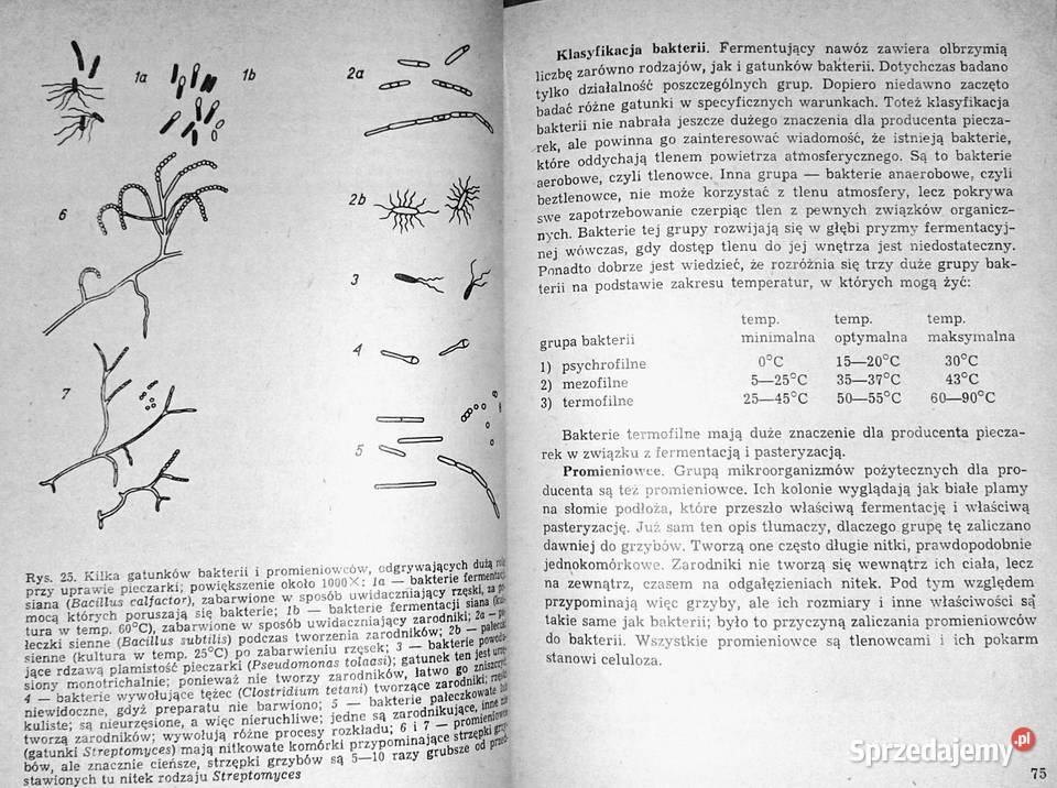 Nowoczesna uprawa pieczarki PJC Vedder Rok wydania 1980 Pozostałe Książki i Podręczniki Chełm