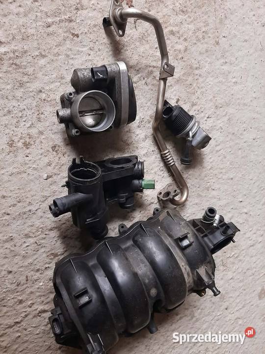 Sprzedam części do Seata Leona 1 16 benzyna Kraśnik sprzedam