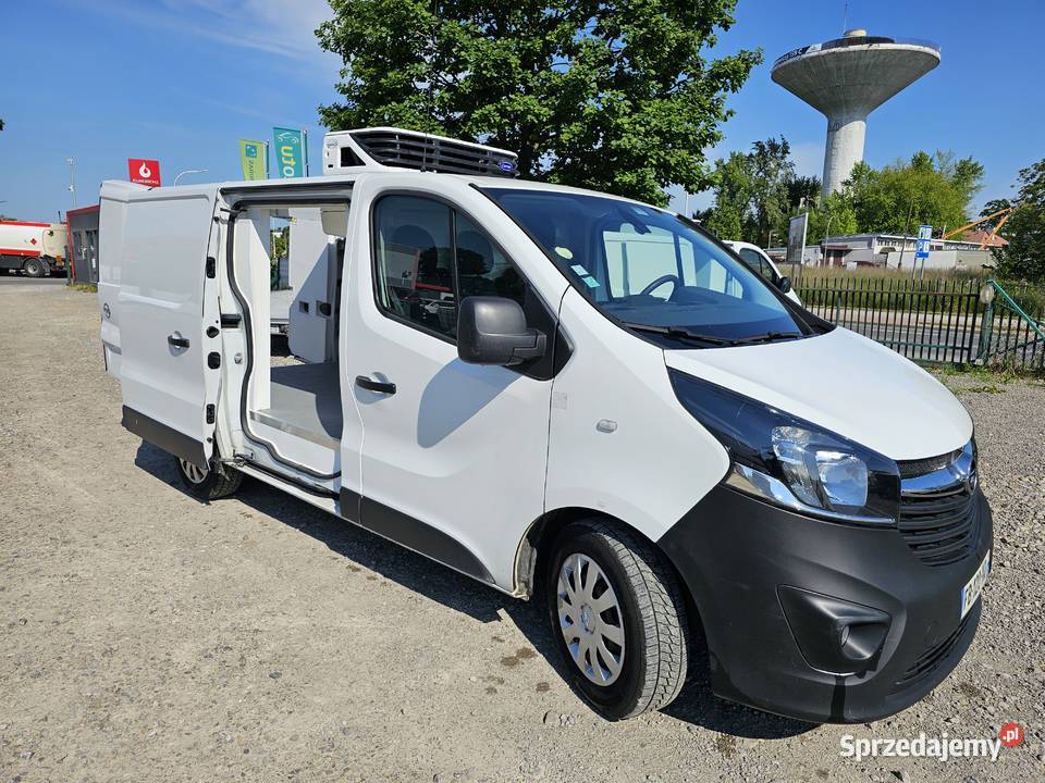Vivaro trafic chlodnia mroznia carrier 230v Tarnobrzeg