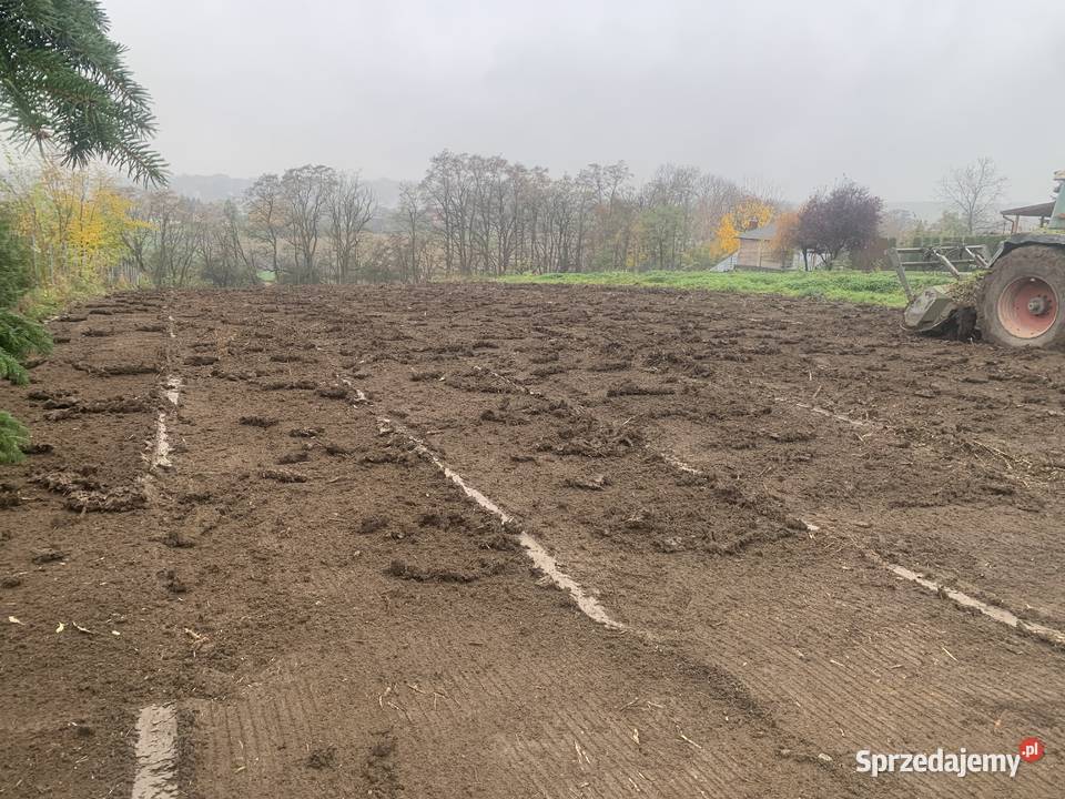 Karczowanie działek Wycinka dzrzew mulczer leśny Brzesko